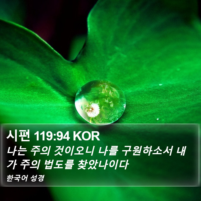 시편 119:94 KOR Bible Study