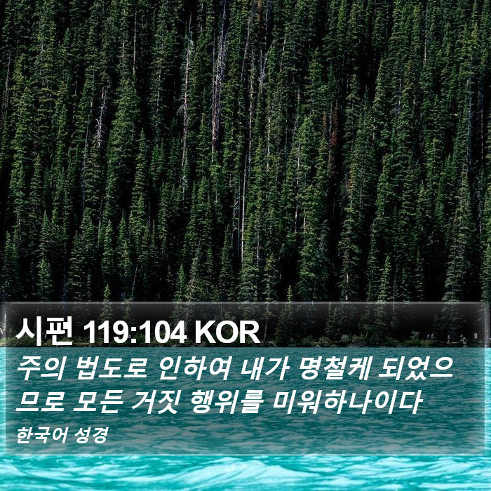 시편 119:104 KOR Bible Study