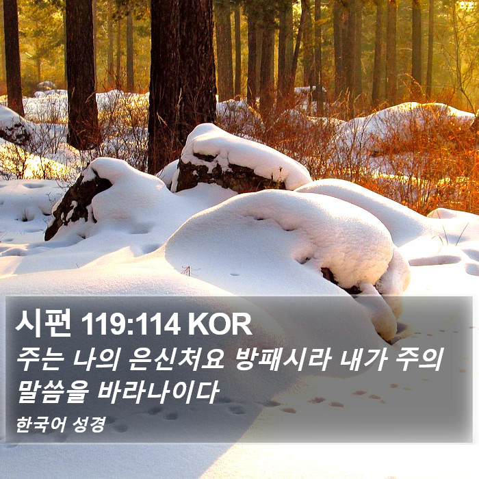 시편 119:114 KOR Bible Study