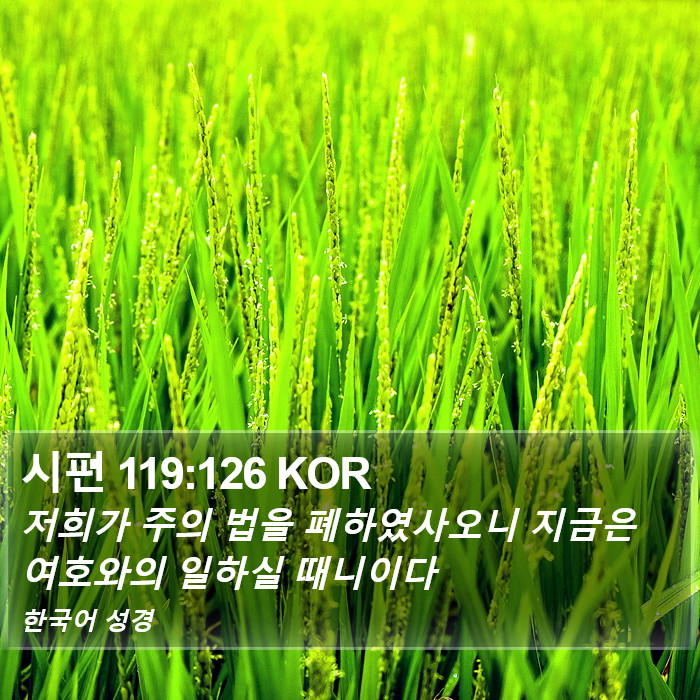 시편 119:126 KOR Bible Study