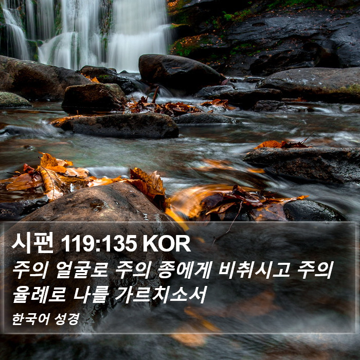 시편 119:135 KOR Bible Study