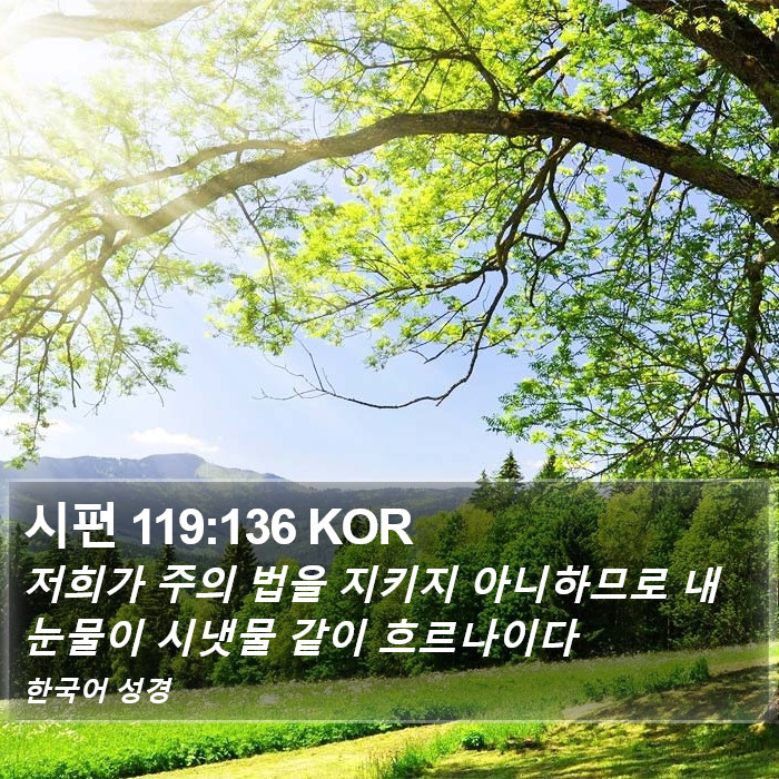 시편 119:136 KOR Bible Study