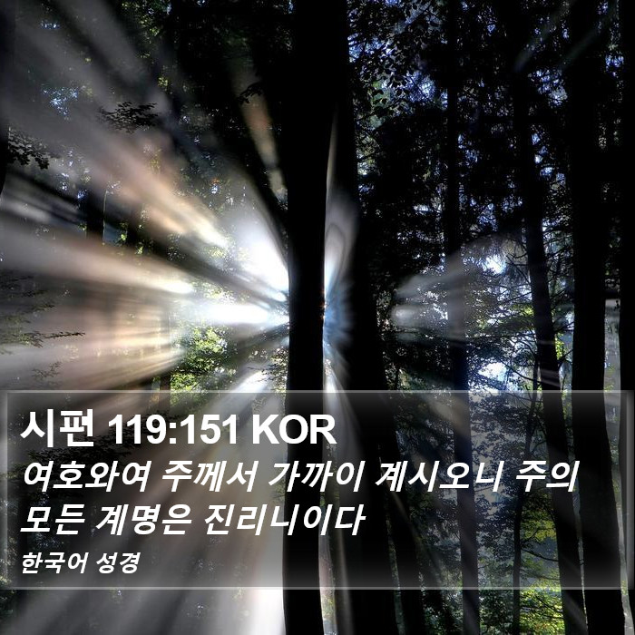 시편 119:151 KOR Bible Study