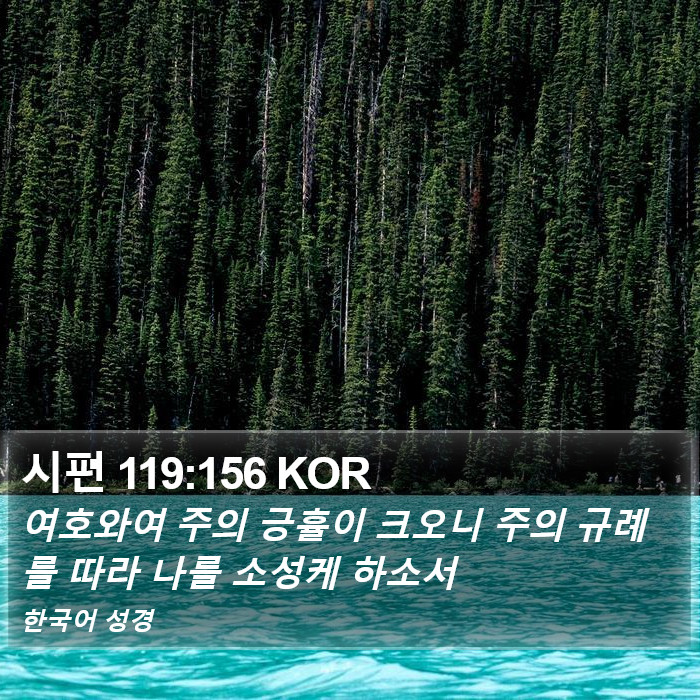 시편 119:156 KOR Bible Study