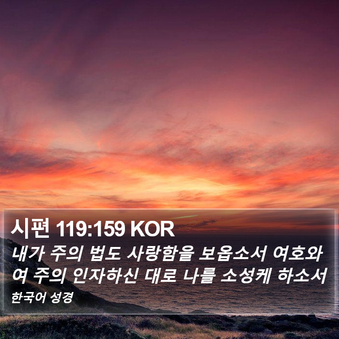 시편 119:159 KOR Bible Study