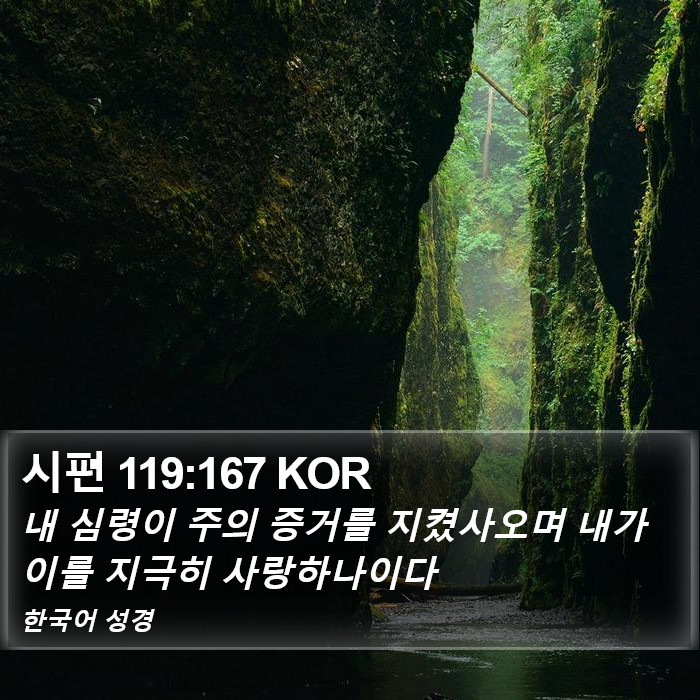 시편 119:167 KOR Bible Study