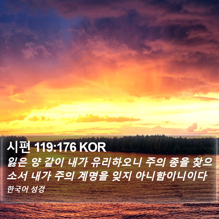 시편 119:176 KOR Bible Study