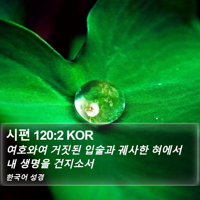 시편 120:2 KOR Bible Study