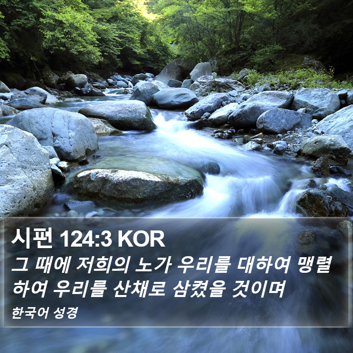 시편 124:3 KOR Bible Study