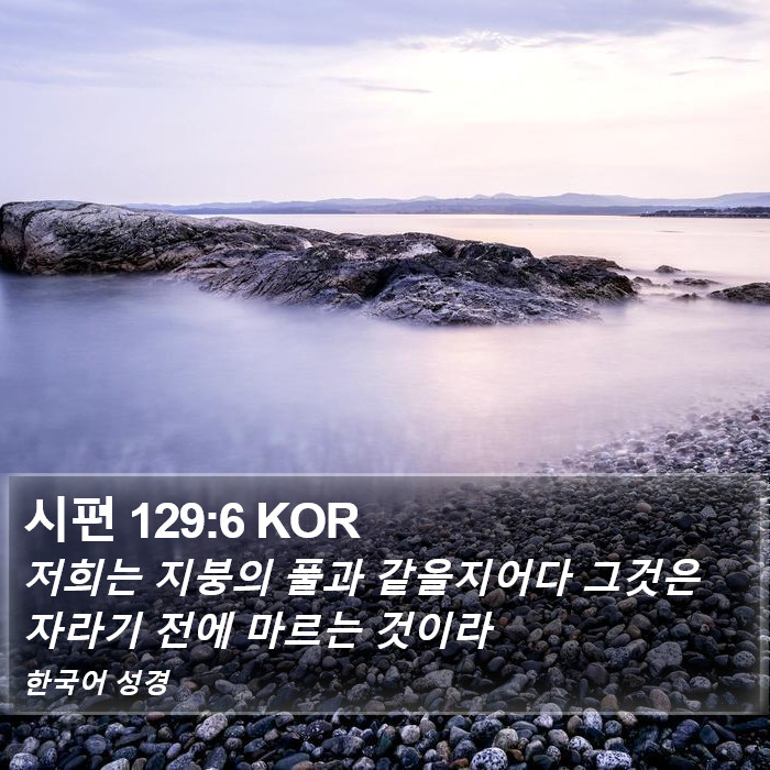 시편 129:6 KOR Bible Study