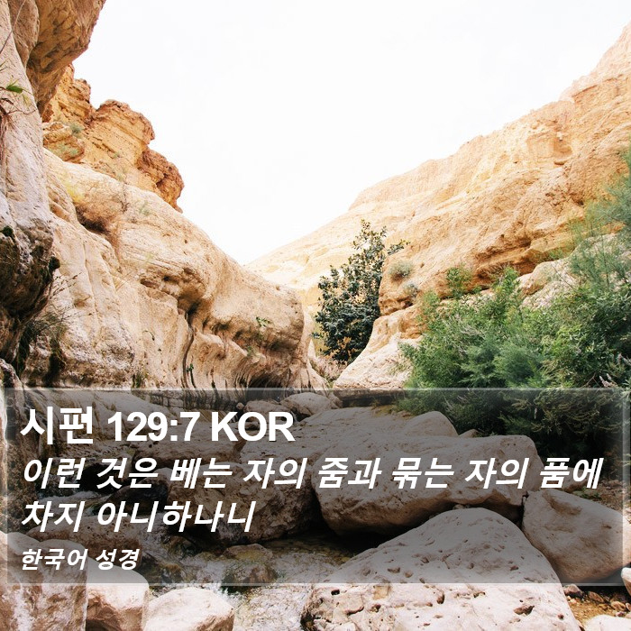 시편 129:7 KOR Bible Study