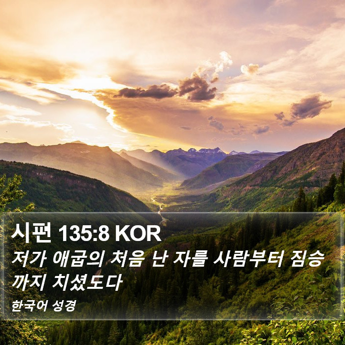 시편 135:8 KOR Bible Study