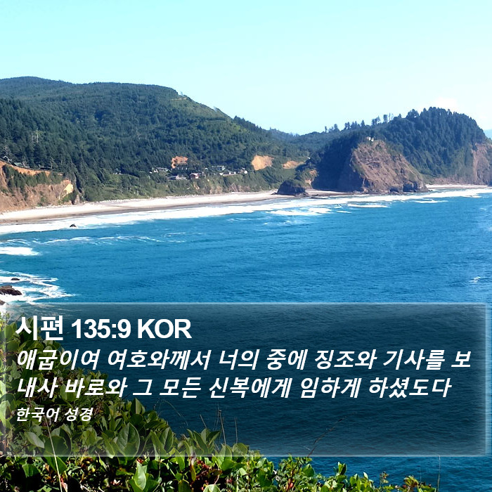 시편 135:9 KOR Bible Study