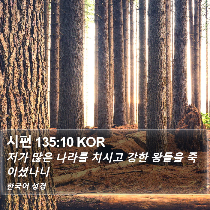 시편 135:10 KOR Bible Study