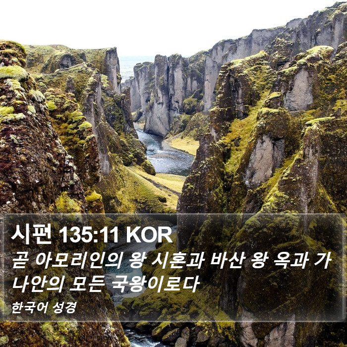 시편 135:11 KOR Bible Study