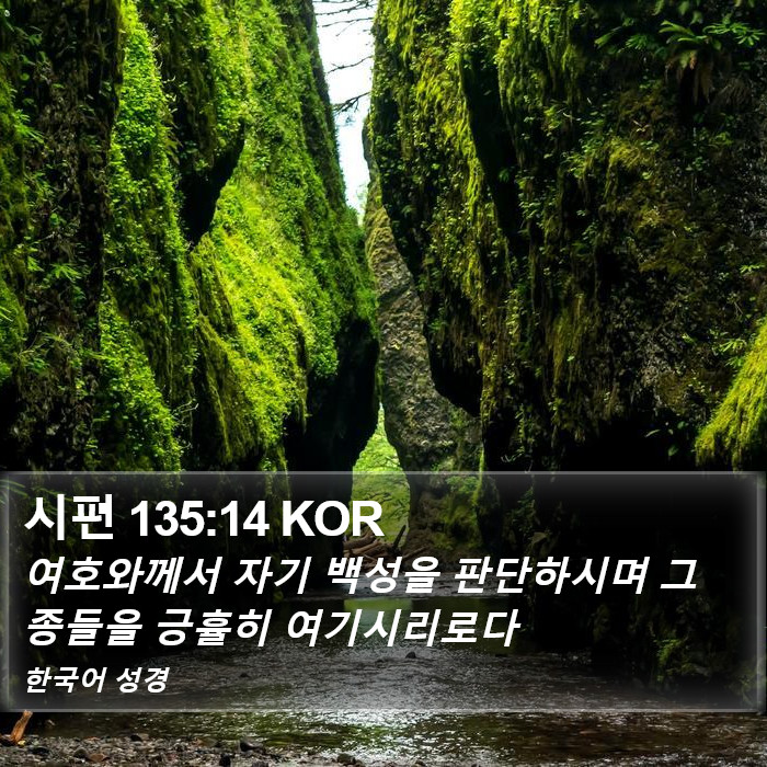 시편 135:14 KOR Bible Study