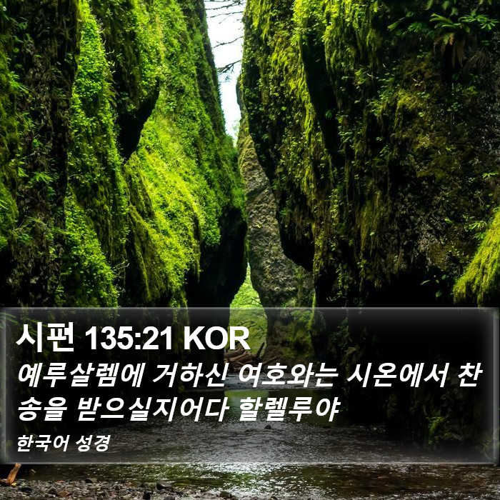 시편 135:21 KOR Bible Study