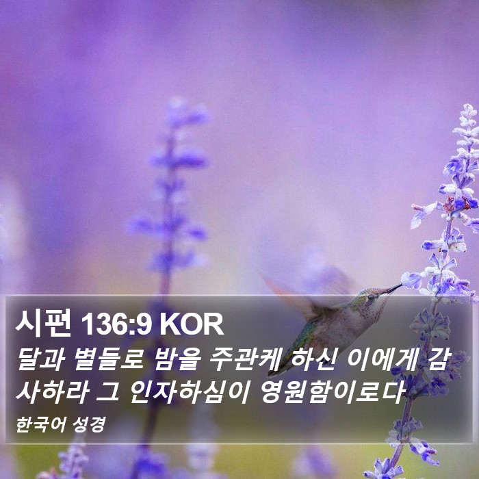 시편 136:9 KOR Bible Study