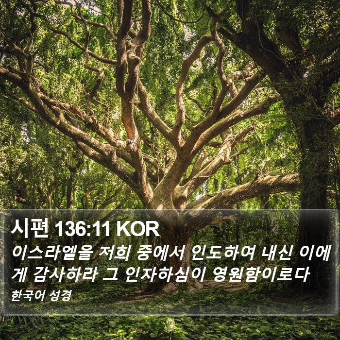 시편 136:11 KOR Bible Study