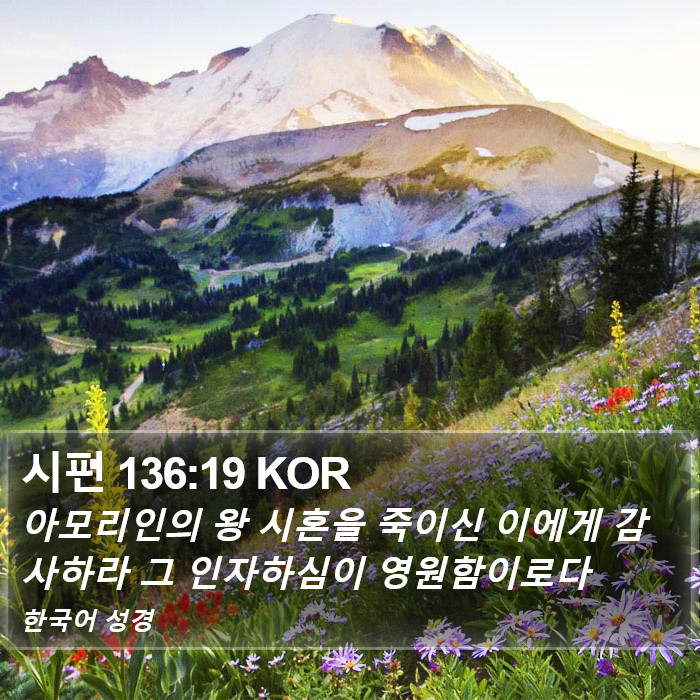 시편 136:19 KOR Bible Study