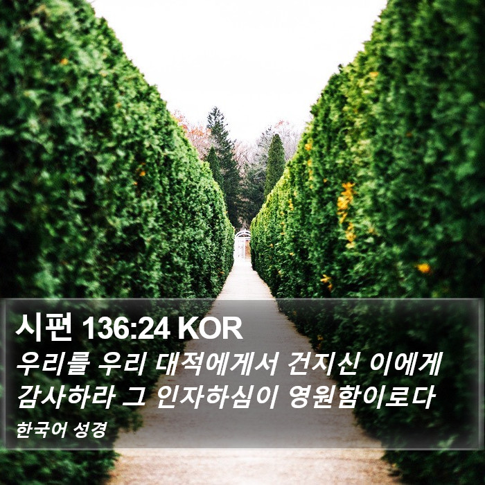 시편 136:24 KOR Bible Study