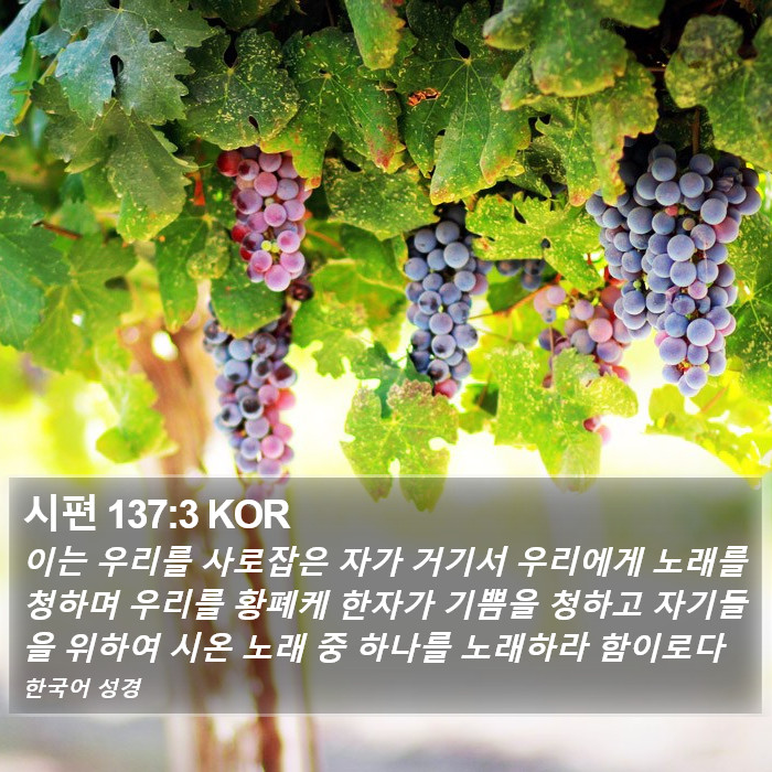 시편 137:3 KOR Bible Study