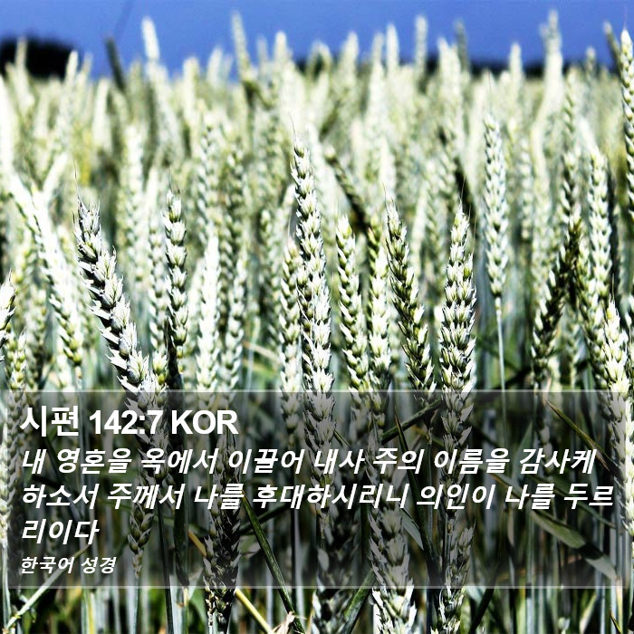 시편 142:7 KOR Bible Study
