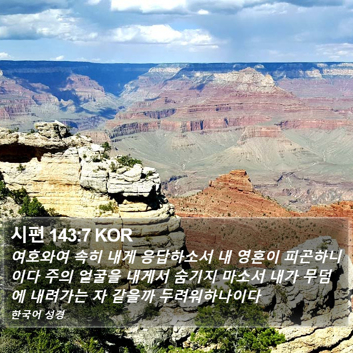 시편 143:7 KOR Bible Study