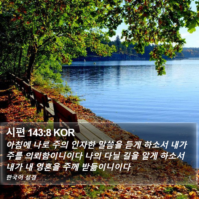 시편 143:8 KOR Bible Study