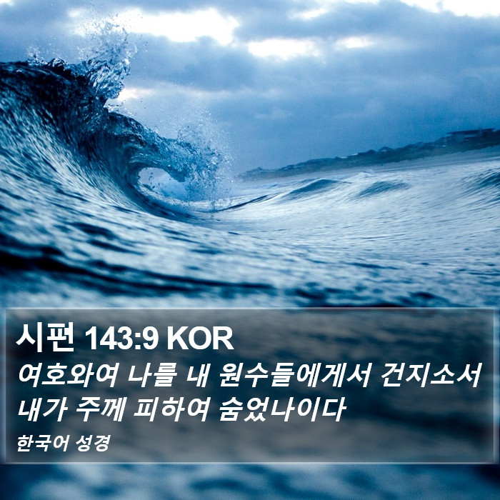 시편 143:9 KOR Bible Study