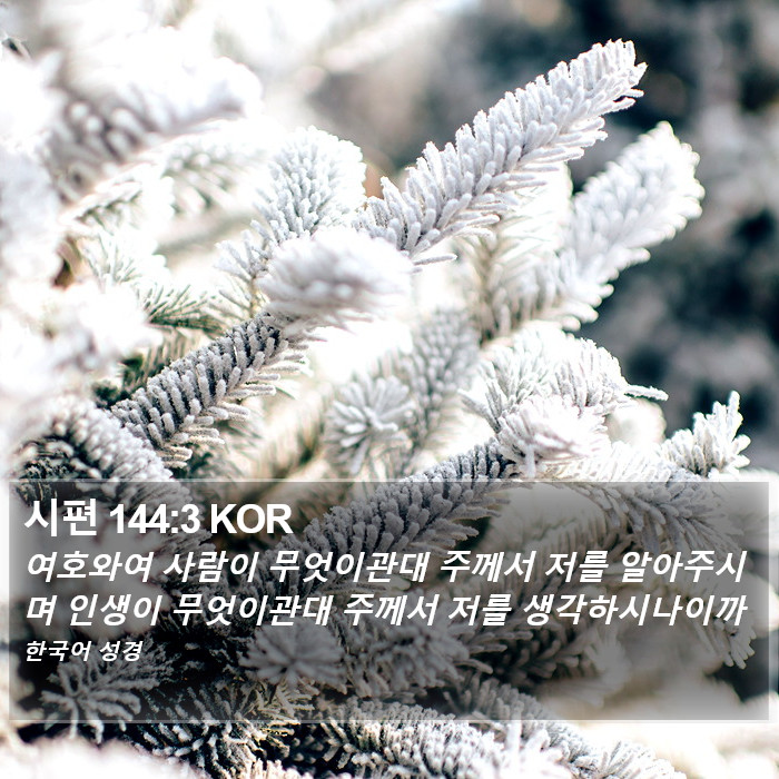 시편 144:3 KOR Bible Study