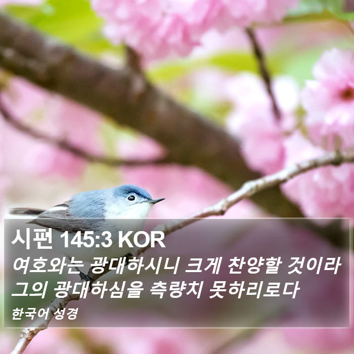 시편 145:3 KOR Bible Study