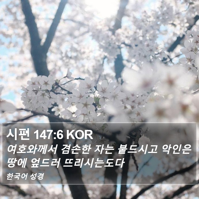 시편 147:6 KOR Bible Study