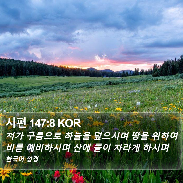 시편 147:8 KOR Bible Study