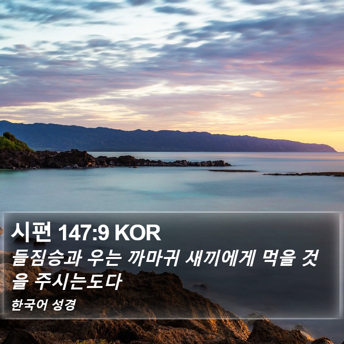 시편 147:9 KOR Bible Study