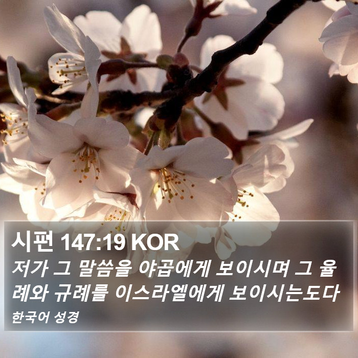 시편 147:19 KOR Bible Study