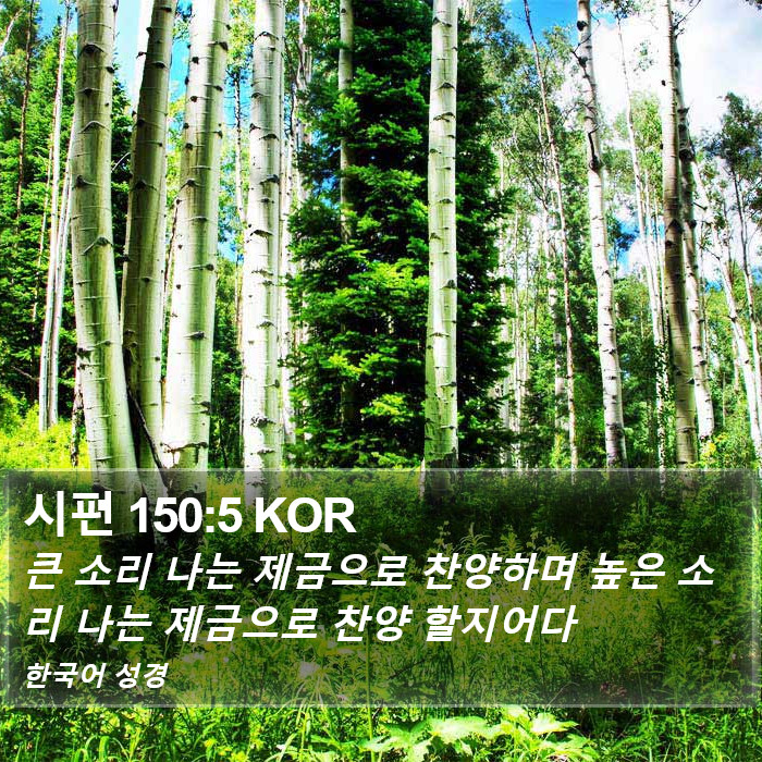 시편 150:5 KOR Bible Study