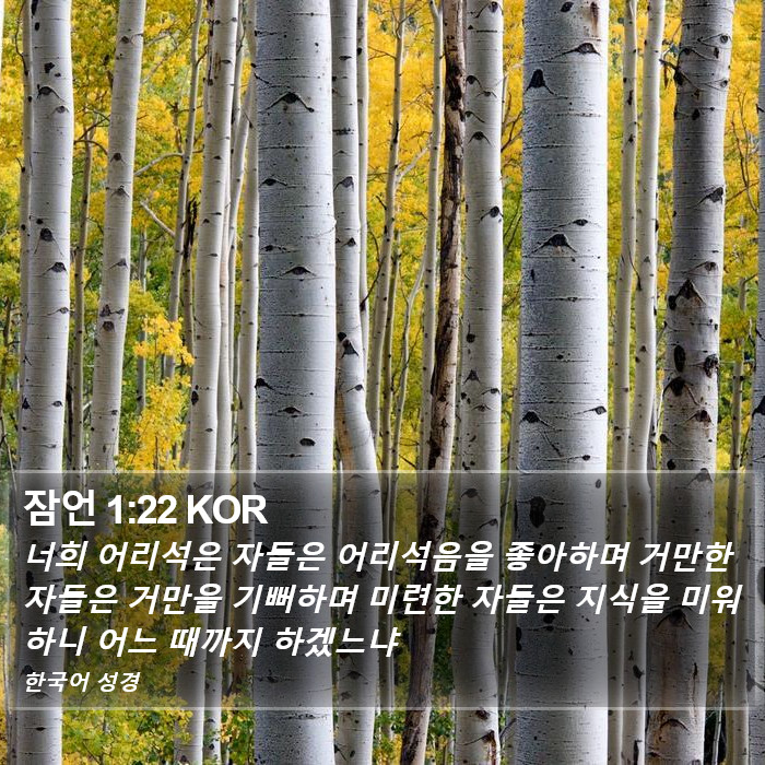 잠언 1:22 KOR Bible Study