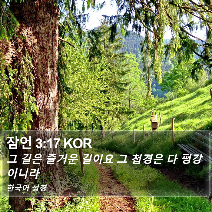 잠언 3:17 KOR Bible Study
