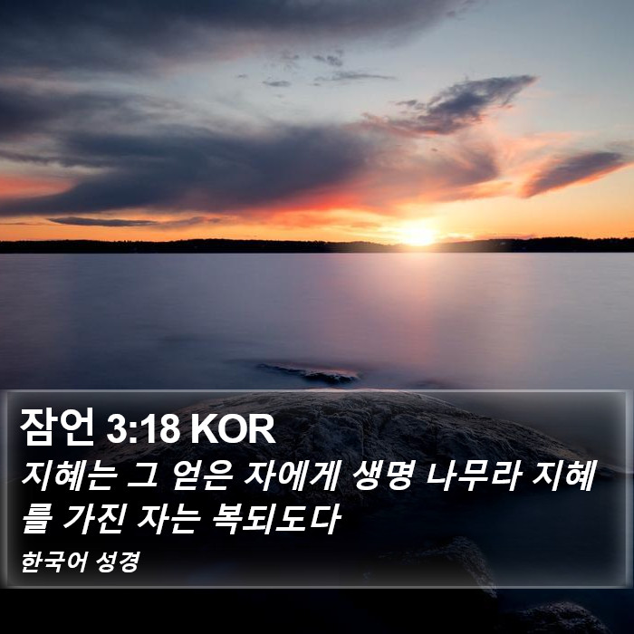 잠언 3:18 KOR Bible Study