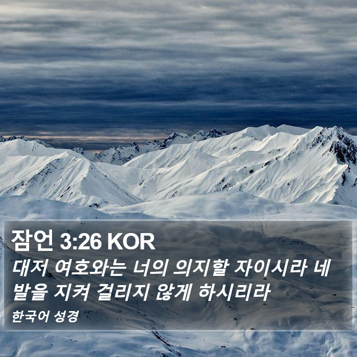 잠언 3:26 KOR Bible Study