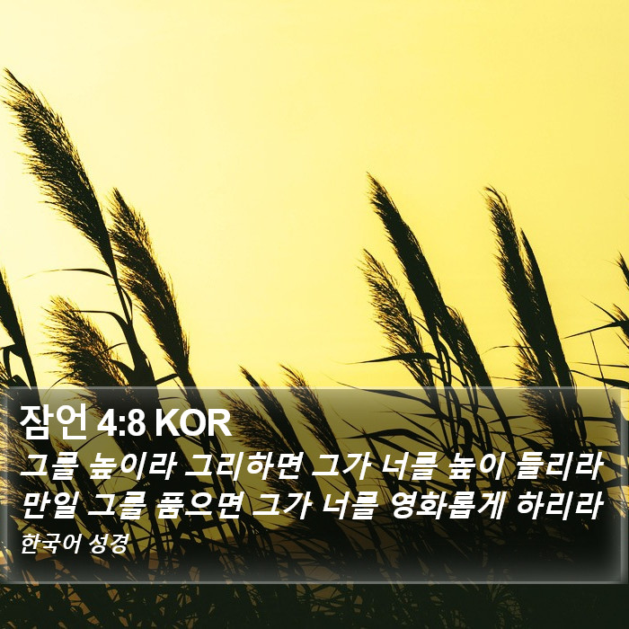 잠언 4:8 KOR Bible Study