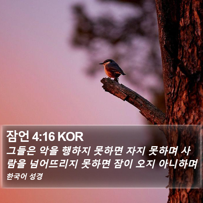 잠언 4:16 KOR Bible Study