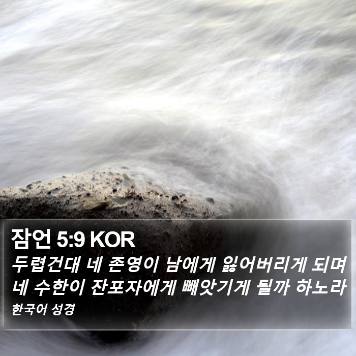 잠언 5:9 KOR Bible Study