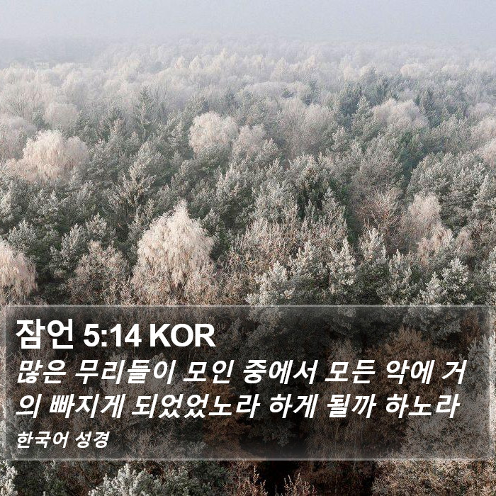 잠언 5:14 KOR Bible Study