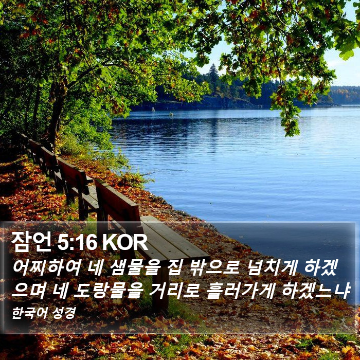 잠언 5:16 KOR Bible Study