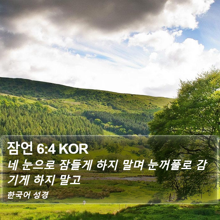 잠언 6:4 KOR Bible Study