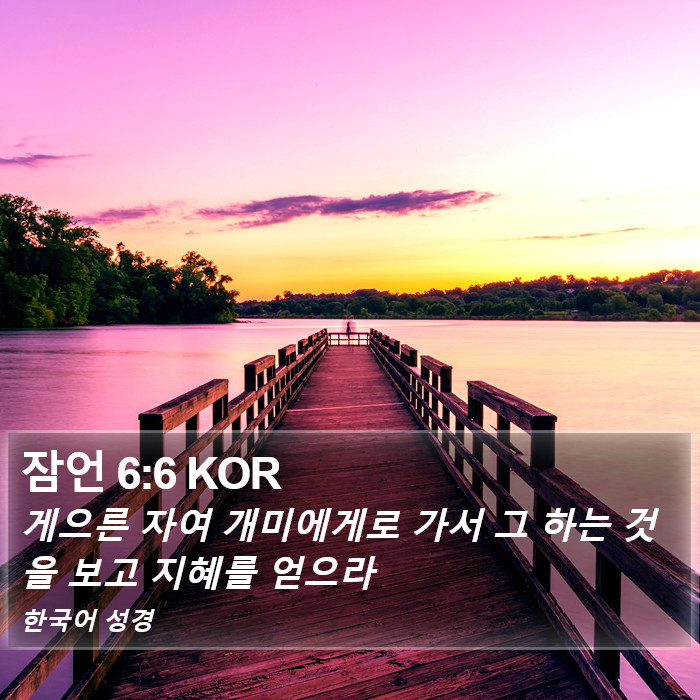 잠언 6:6 KOR Bible Study