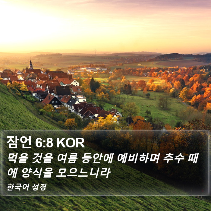 잠언 6:8 KOR Bible Study