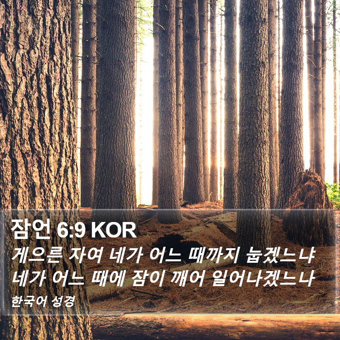 잠언 6:9 KOR Bible Study